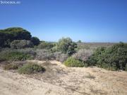 PARCELA SEGREGADA DE 2500 METROS EN LA ESPARTOSA