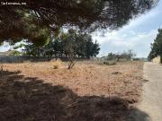 Parcela segregada en Campano