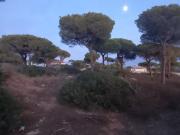 Parcela segregada en La Espartosa