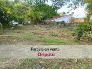 Parcela/ terreno en venta en la mejor calle cerrada de...