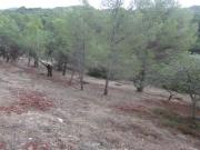 Parcela urbana edificable en zona Urb, Mig Camí