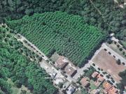 Parcela urbana en Gualba