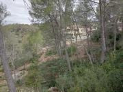 Parcela urbana en Olivella