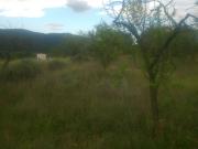 Parcela urbana en Torremanzanas