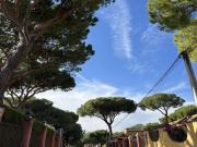 Parcela urbana en urbanización Pinos de Oromana