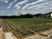 Parcela urbana ideal para chalet