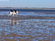 Parcela urbana lista para construir en Sanlúcar de Barrameda