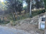 Parcela Urbana Venta Valencia