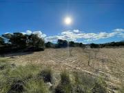 Parcela Urbanizable en La Zarza Jumilla 43.593 m²