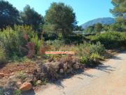 Parcela Venta Alicante