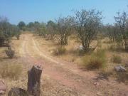 Parcela Venta Castellón