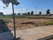Parcela Venta Castellón