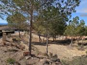 Parcela Venta Murcia