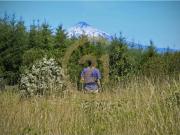 Parcela Vista Al Lago Y Volcán, Los Riscos