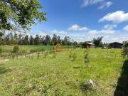 Parcela y dos cabañas camino Pitruquén Ñancul. OPORTUNIDAD