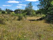 PARCELAS 5000 M2 ROL PROPIO RES SAG REG DE LOS LAGOS!