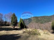 Parcelas 5000 mt2 en Curarrehue