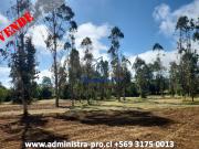 PARCELAS 5000 MTS LOTEO ANCAHUAL, LONCOCHE