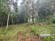 Parcelas 5.000 M En Loteo Santo Domingo, Valdivia