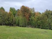 Parcelas 5.000 m² en Maullín Puerto Montt