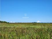 PARCELAS A 15 MIN CENTRO DE OSORNO