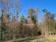 PARCELAS A 17 KM DE LONCOCHE CON LUZ Y AGUA