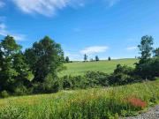 PARCELAS A PASOS DEL LAGO RUPANCO