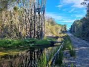 PARCELAS, ALERCES DE LAUCA. PUERTO MONTT