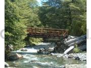 PARCELAS BOSQUE PALGUIN EN PUCON