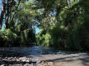 parcelas con acceso a orilla de rio Villarrica
