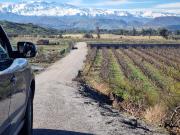 ULTIMAS PARCELAS DE 5000M2 A 35 MINUTOS DE SANTIAGO