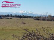 Parcelas de 5000mts2 con inmejorable ubicación ubicadas...