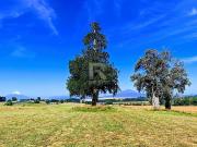 PARCELAS EN LÍNEA NUEVA, VISTA VOLCANES A SÓLO 5KM DE CENTRO