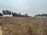 PARCELAS EN MANTAGUA 1000M2 LUZ SUBTERRÁNEA BUENOS CAMINOS