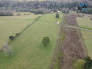 Parcelas en Venta 3 6.000 m2 y 5.000 m2, Coipue, Freire