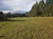 Parcelas en Venta, 5.000 m2, Sector los Laureles, Camino...