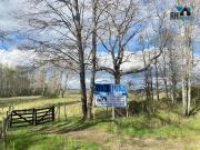 Parcelas en Venta 8 Ubicadas en La Faja 24.000 Camino...