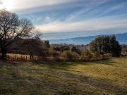 Parcelas en Venta con Vista al Lago y Volcán Villarrica