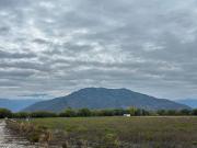 Parcelas en Venta: El Encanto de Tagua Tagua