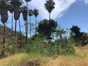 PARCELAS EN VENTA EN CAÑÓN DEL SAINZ