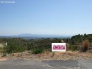 PARCELAS EN VENTA EN LA URBANIZACIÓN LOS LAGOS ALGINET