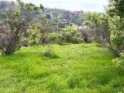 Parcelas En Venta En Limache, V Región!