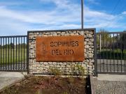 Parcelas en Villarrica Copihues del Río
