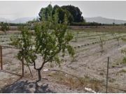 Parcelas en Villena con Autorización para 35 m2