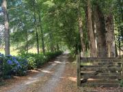 Parcelas En Zona Privilegiada Villarrica Pucón