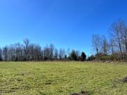 Parcelas Huiscapi Venta En Verde A 20min De Villarrica