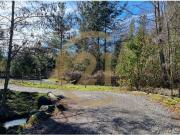 Parcelas Molco Alto 5000 Mts2 Parcelas Molco Alto 5000 Mts2