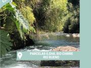 Parcelas Puyehue Rio Bueno Rio Sur Corretajes