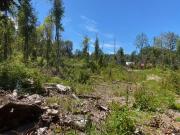 Parcelas ubicadas a 5 kilómetros de la ciudad de Licán Ray