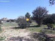 PARCELAS URBANAS EN 4 CALZADAS
